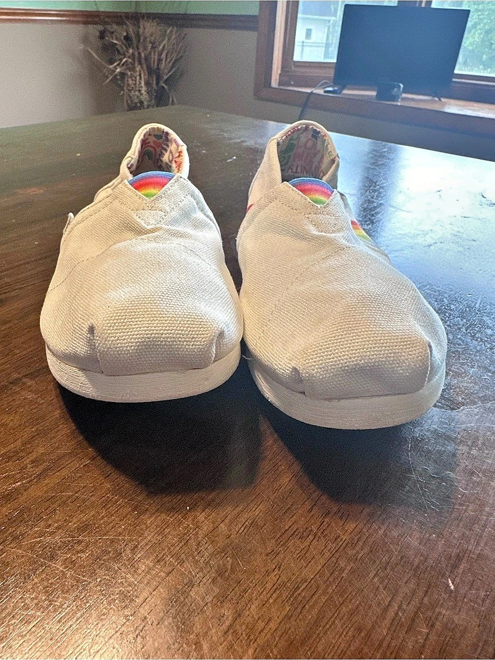 TOMS Pride Rainbow Love Unity Alpargata Slip On Shoes Size 9 - Picture 10 of 11